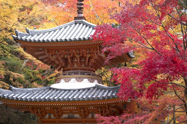 世界遺産　紅葉の高野山参り